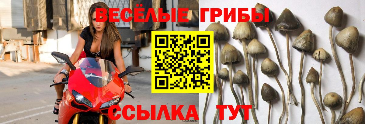 Псилоцибиновые грибы мухоморы  Вход с VPN  Верхний Уфалей 